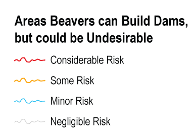 Areas beaver can build dams, but could be undesirable