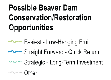 Possible beaverd dam conservation restoration opportunities